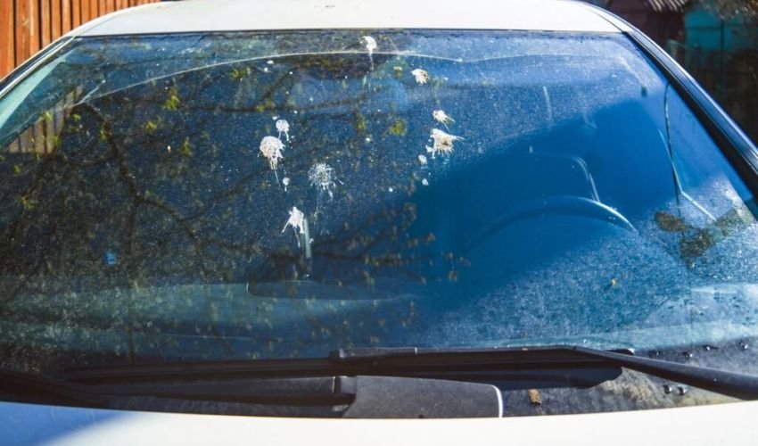 How Windshields Get Dirty