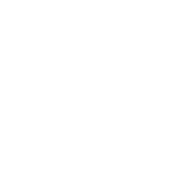 car-inspection
