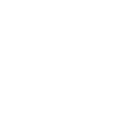 mechanic