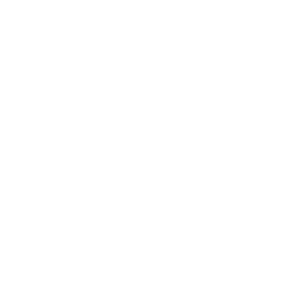 windshield-wiper