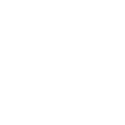 wiper